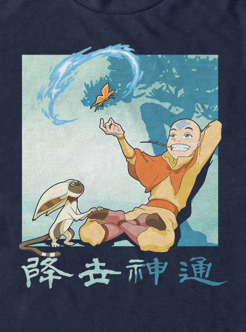 Avatar: The Last Airbender Avatar Aang Momo T-Shirt