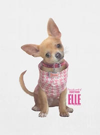 Legally Blonde Elle Bruiser Woods Womens Baby T-Shirt