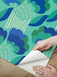 Retro Esme Aqua Peel & Stick Wallpaper