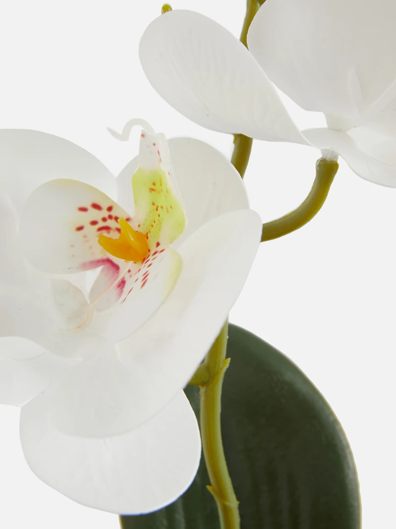 Small Potted Faux Orchid