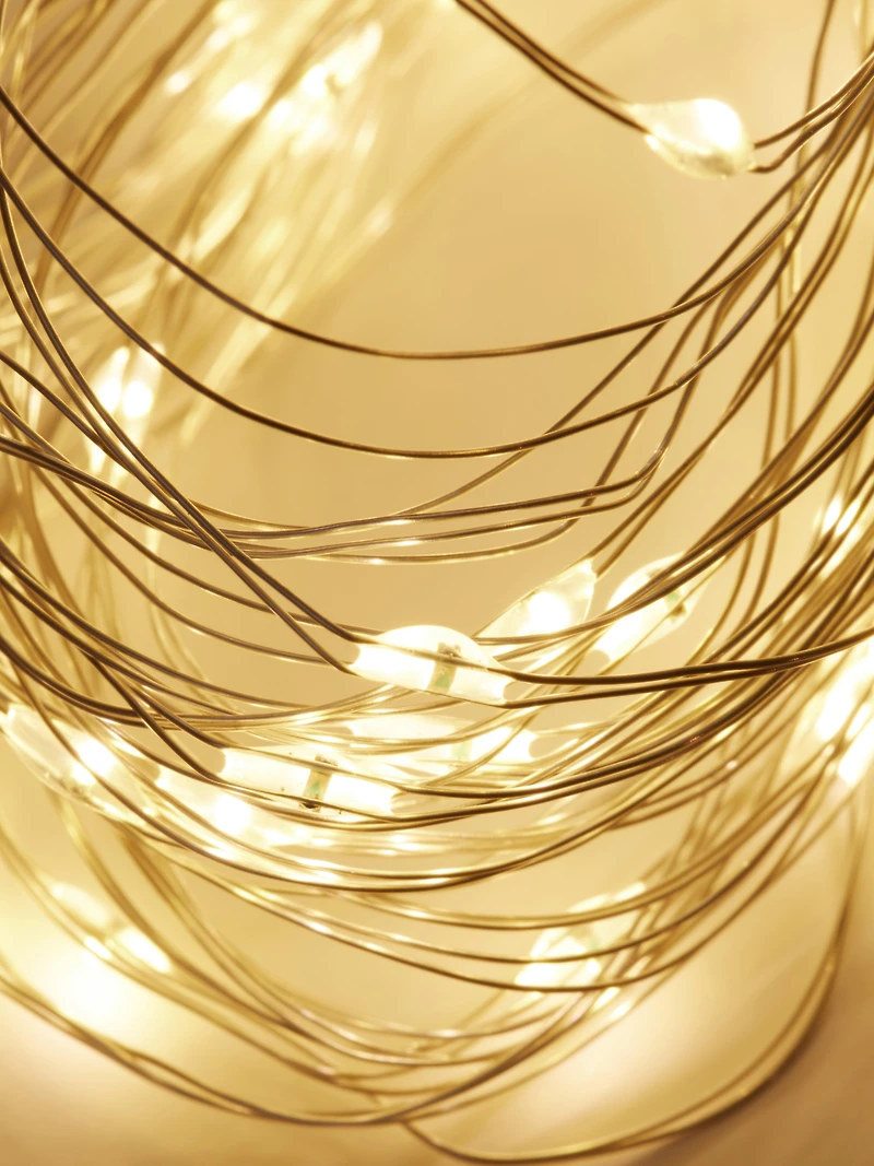 50 LED Firefly Lights