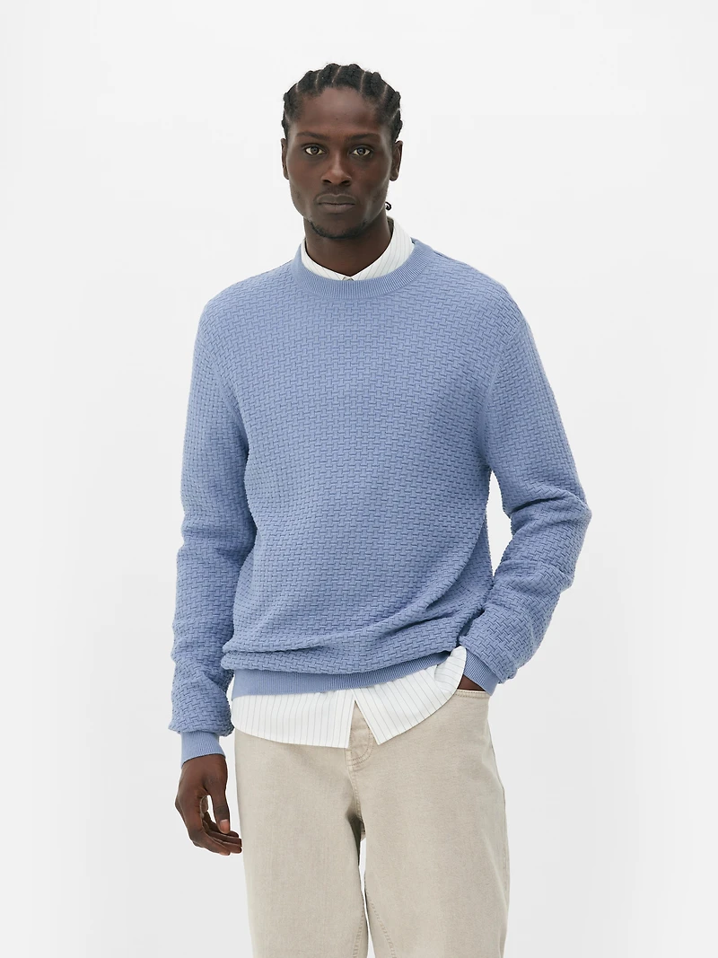 Men's Blue Textured Crew Neck Sweate