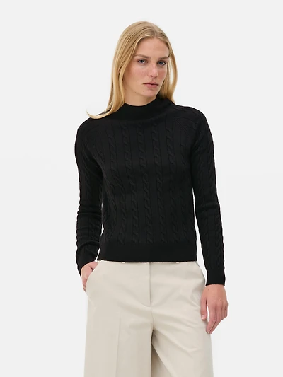 Turtle Neck Cable Sweater