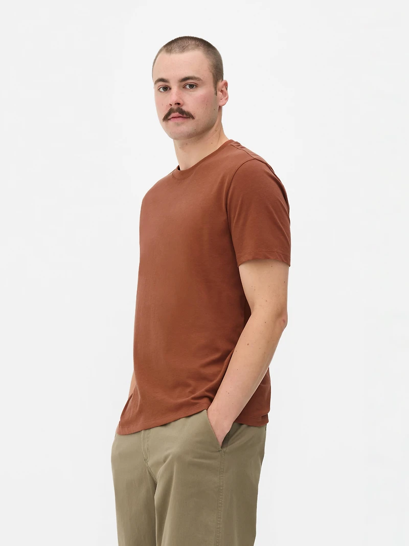 Men's Burnt Orange Regular Fit T-Shirt