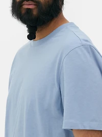 Men's Light Blue Regular Fit T-Shirt