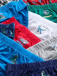 1.5-8yrs | 10pk Dinosaur Graphic Days of the Week Briefs