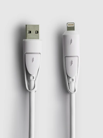 4-in-1 Split Charging Cable