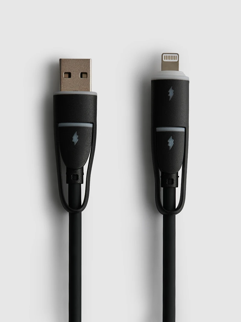 4-in-1 Split Charging Cable