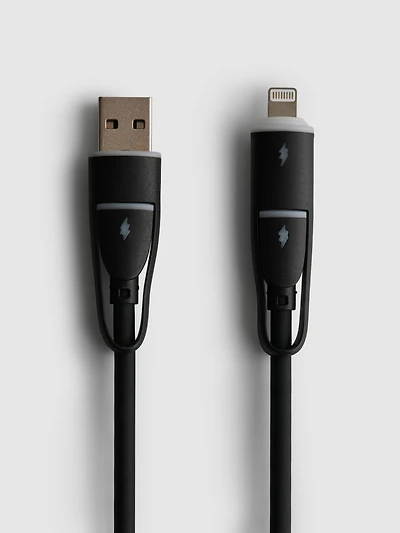 4-in-1 Split Charging Cable