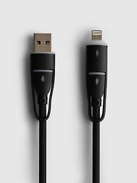 4-in-1 Split Charging Cable