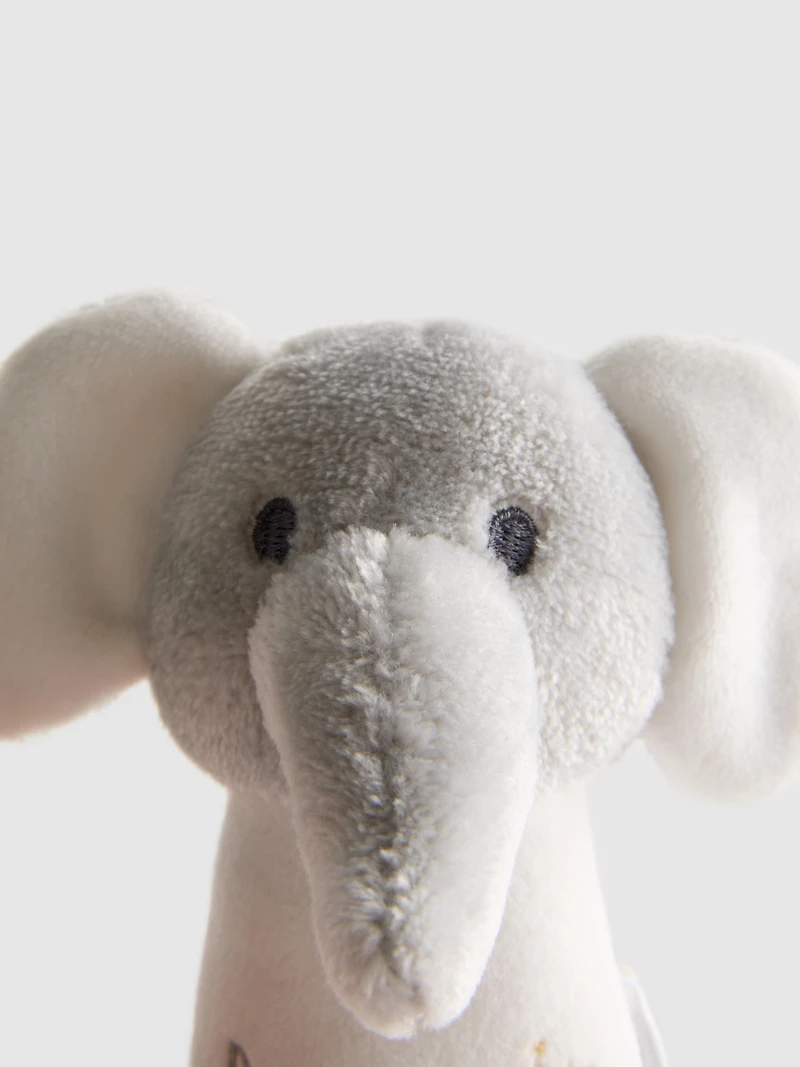 Born in 2026 Rattle Toy