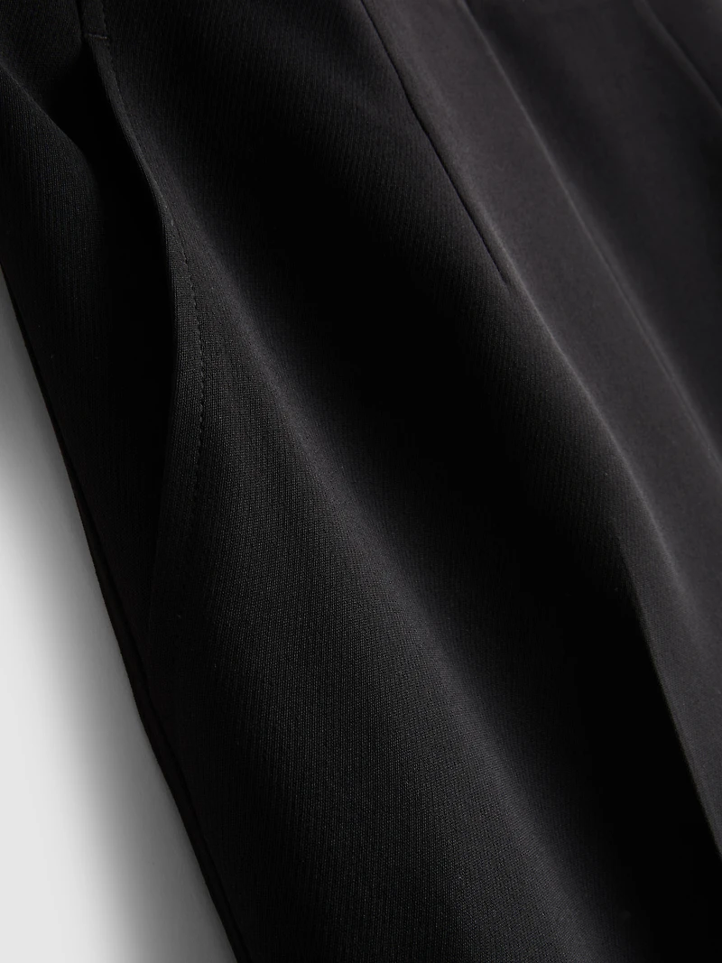 Dressy Wide-Leg Pants