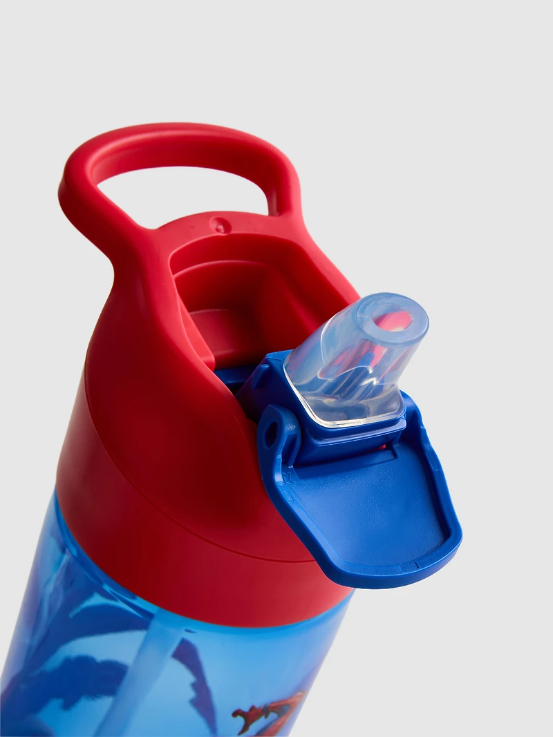 MARVEL Spider-Man Water Bottle