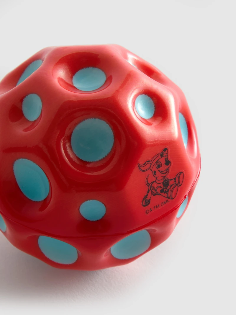 PAW Patrol Ball