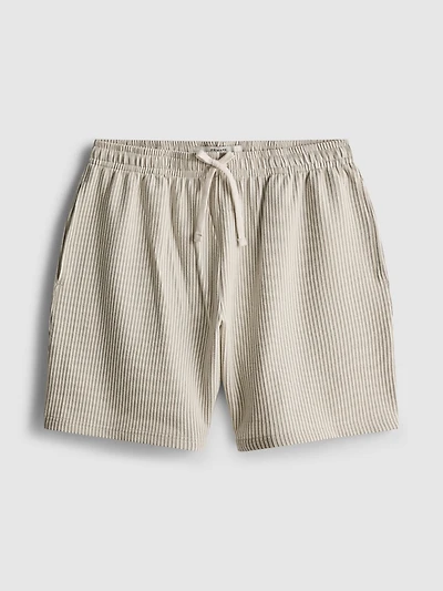 Textured Stripe Pajama Shorts