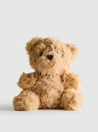 Small Teddy Bear Plush Toy