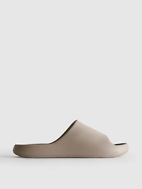 Molded Pool Slides