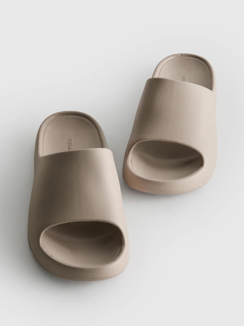 Molded Pool Slides