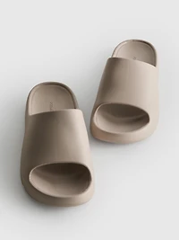 Molded Pool Slides