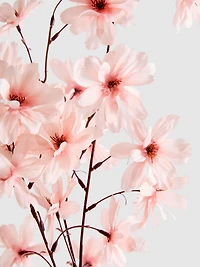 Single Stem Faux Cherry Blossom Decoration