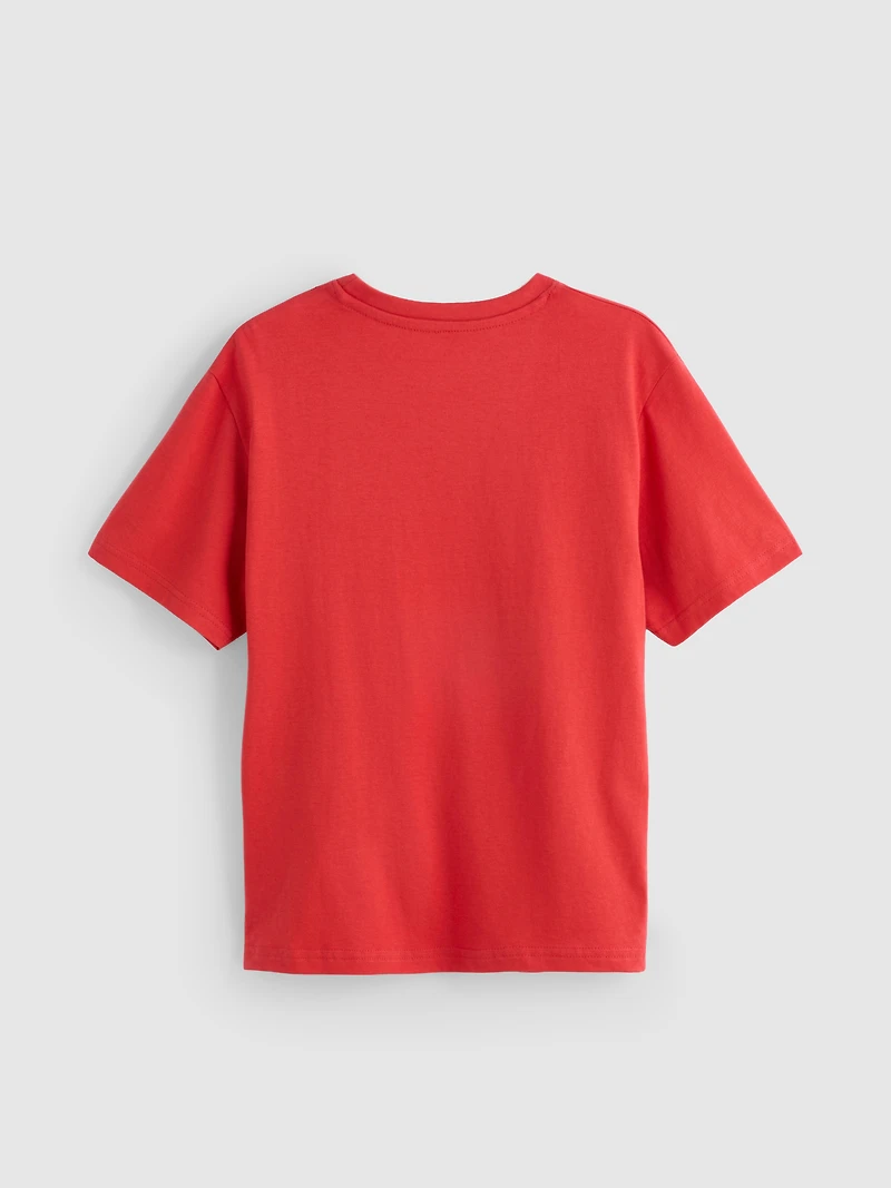 5-15yrs | Minecraft Graphic T-Shirt