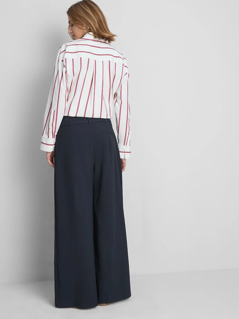 The Edit Wide Leg Pleated Pants