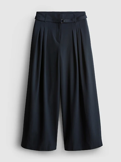 The Edit Wide Leg Pleated Pants
