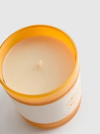 Scented Candle In Frosted Glass Jar
