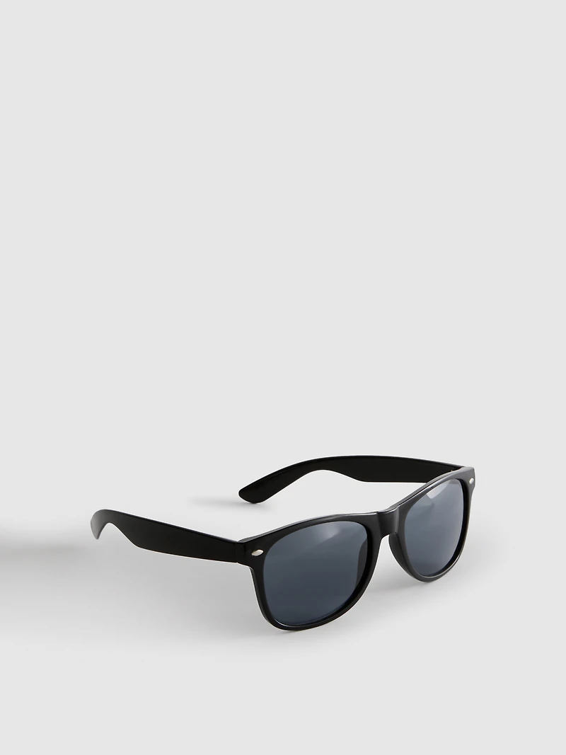 Classic Wayfarer Sunglasses