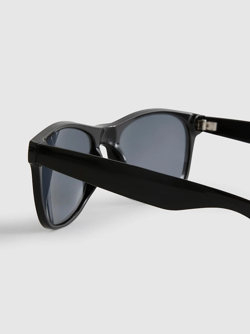 Classic Wayfarer Sunglasses