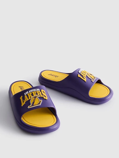 NBA LA Lakers Pool Slides