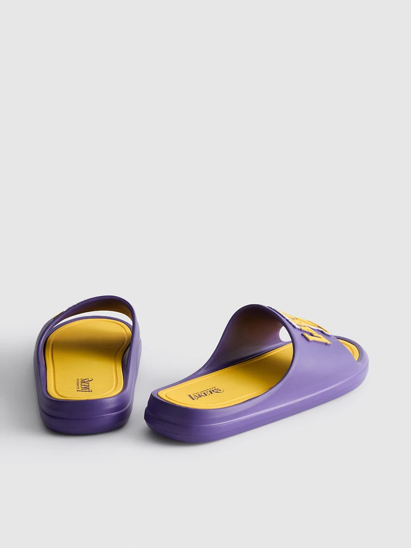 NBA LA Lakers Pool Slides