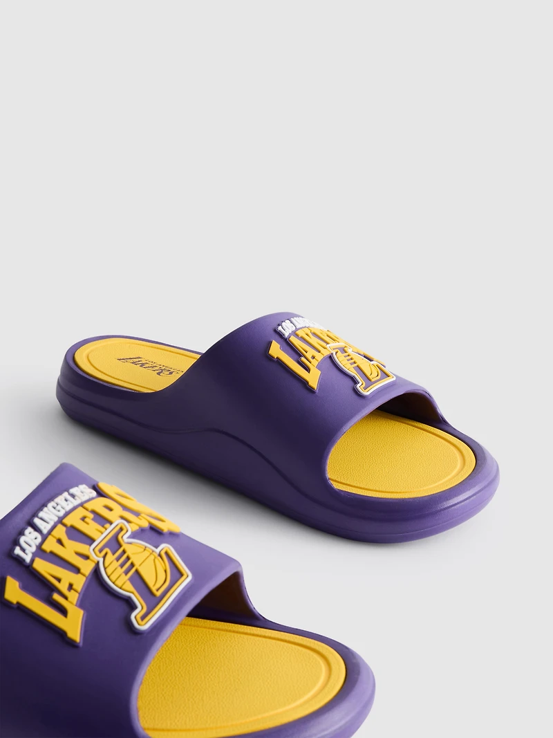 NBA LA Lakers Pool Slides