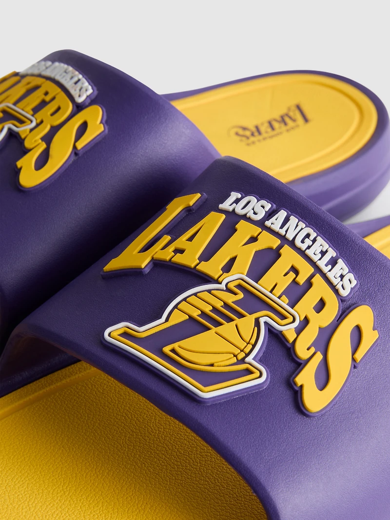NBA LA Lakers Pool Slides