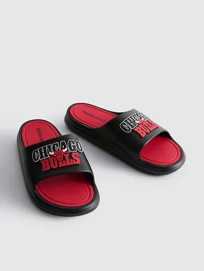 NBA Chicago Bulls Pool Slides