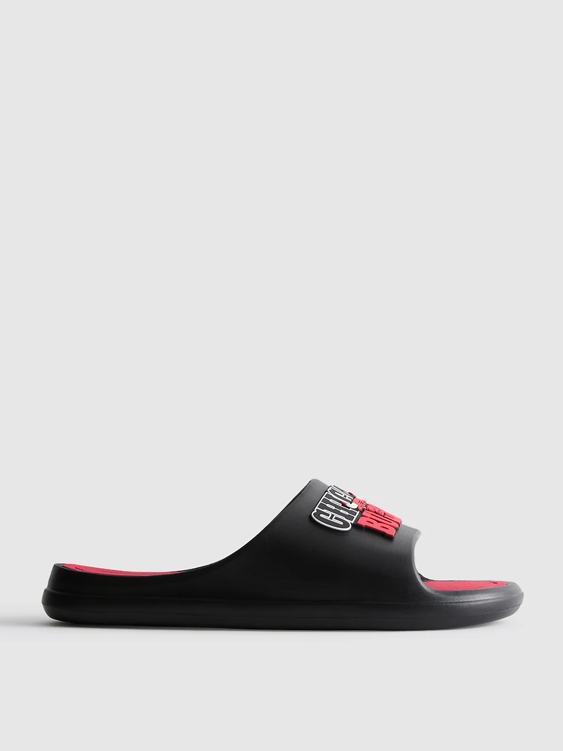 NBA Chicago Bulls Pool Slides