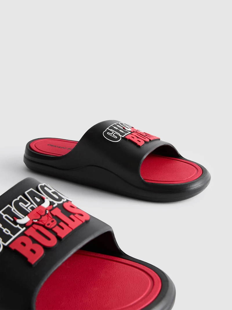NBA Chicago Bulls Pool Slides
