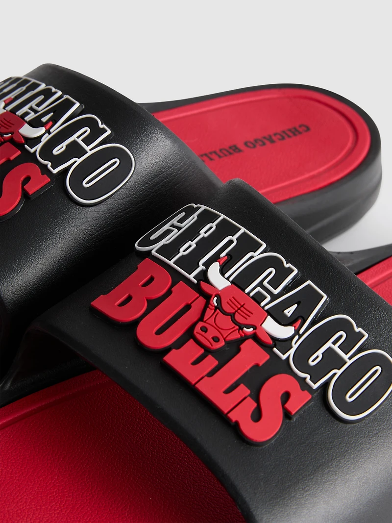 NBA Chicago Bulls Pool Slides