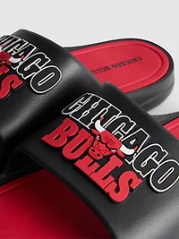 NBA Chicago Bulls Pool Slides