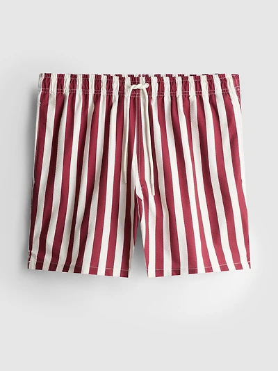 Deck Chair Stripe Swim Shorts