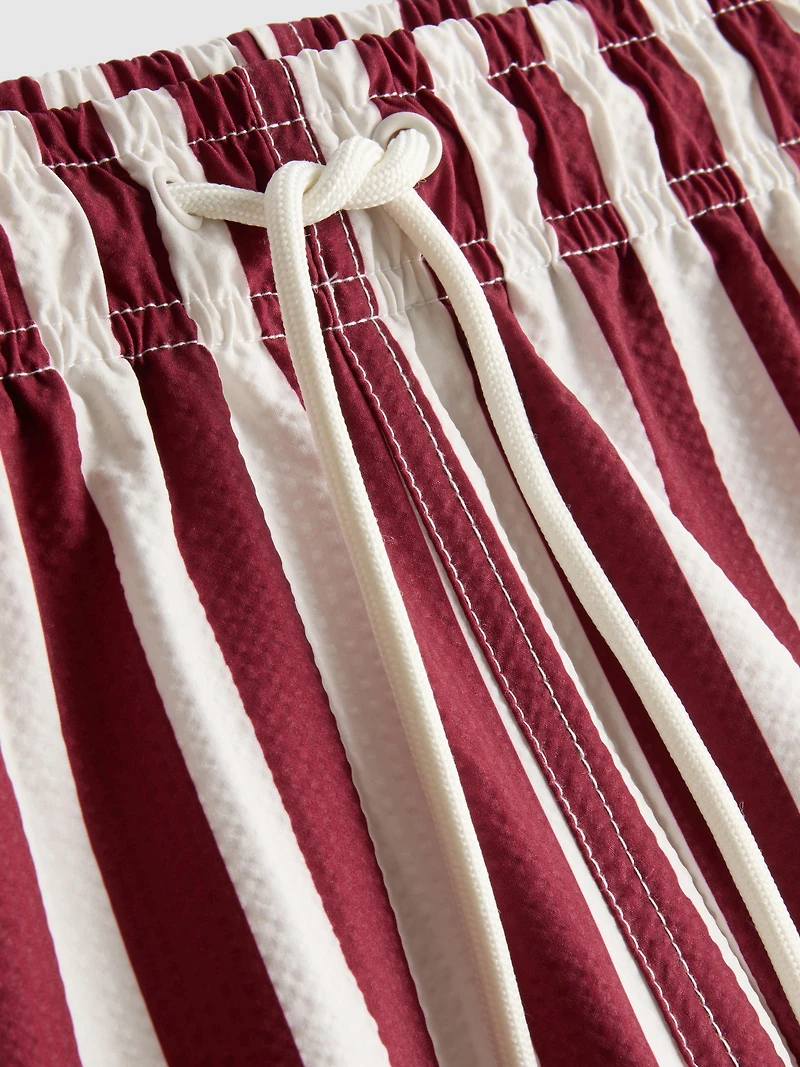 Deck Chair Stripe Swim Shorts