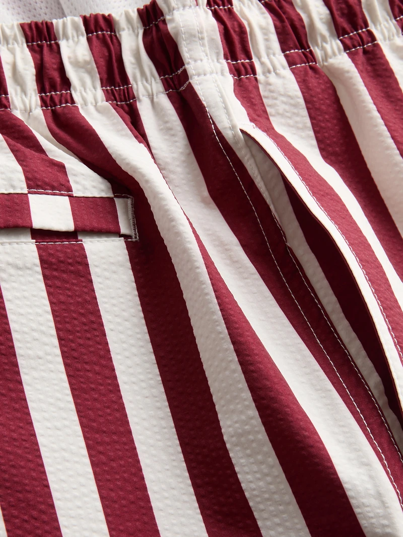 Deck Chair Stripe Swim Shorts