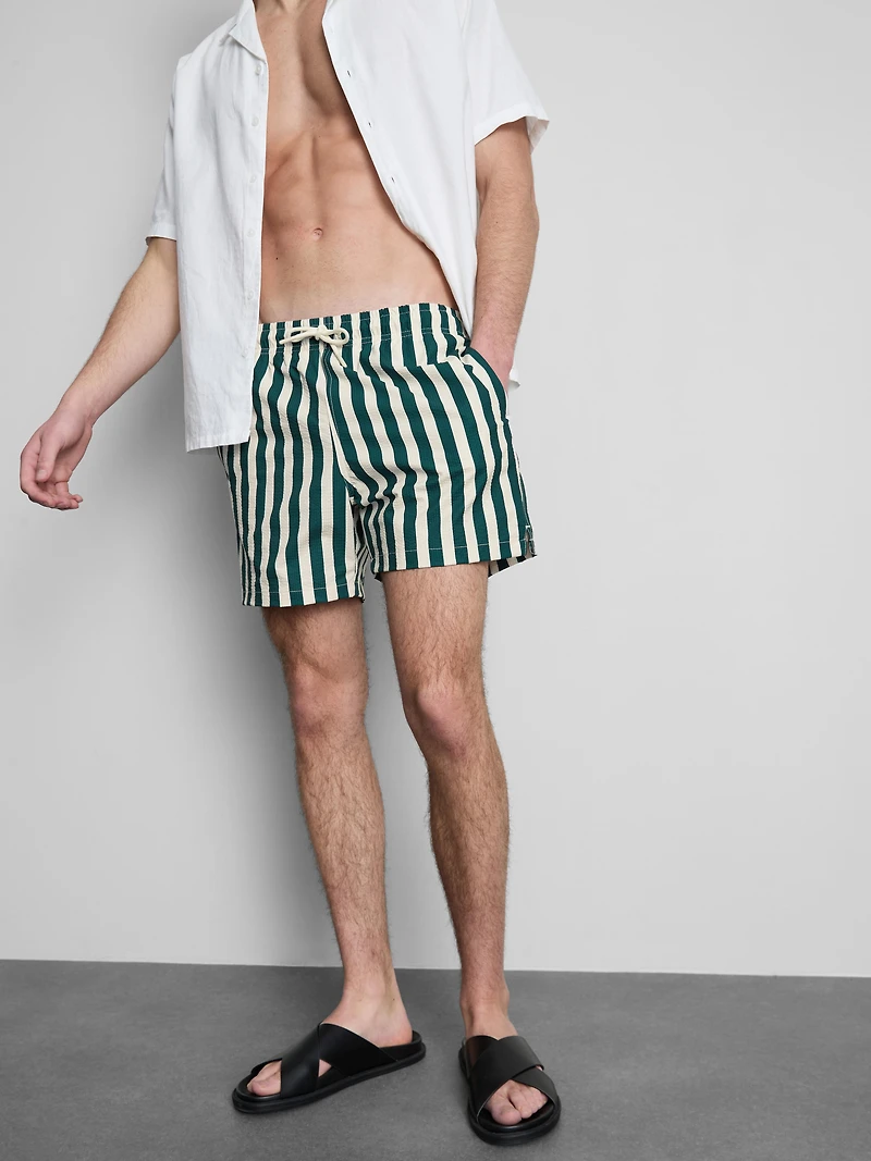 Deck Chair Stripe Swim Shorts