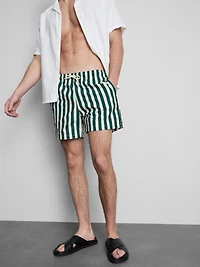 Deck Chair Stripe Swim Shorts