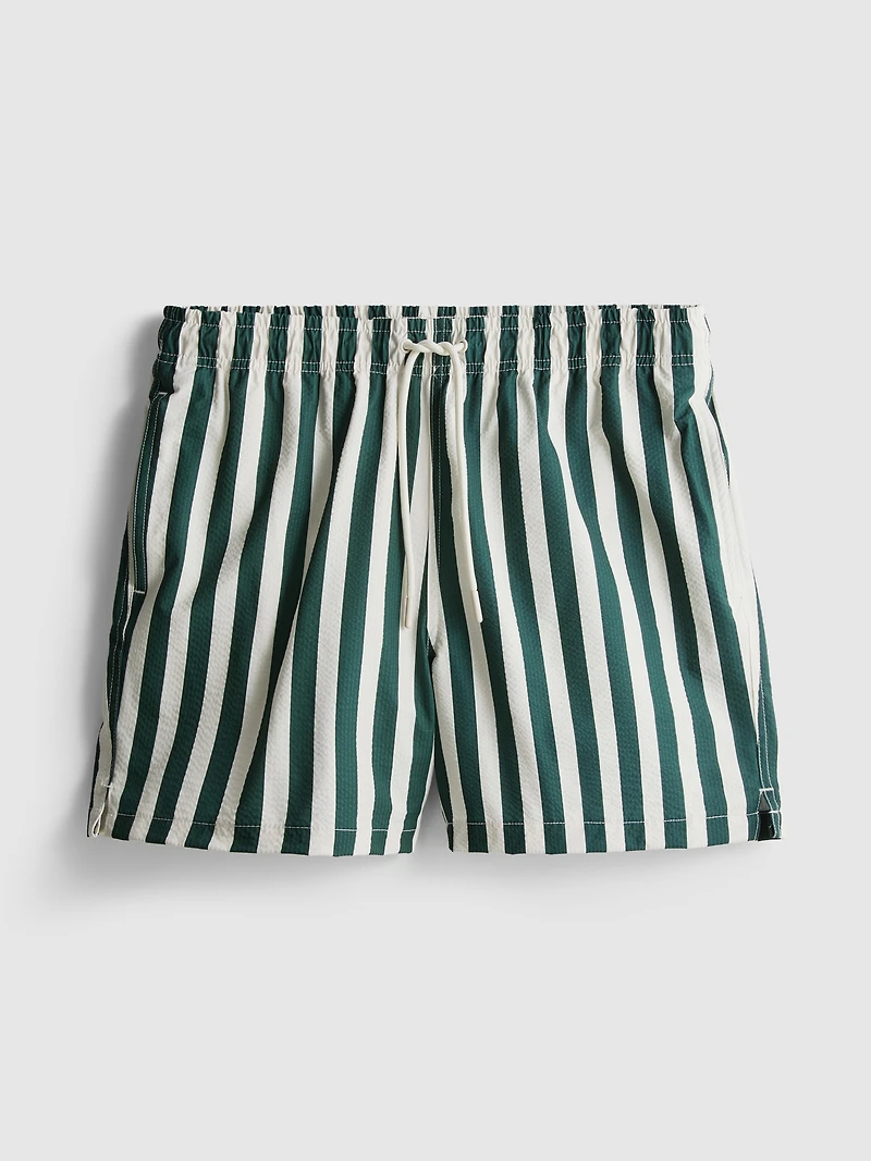 Deck Chair Stripe Swim Shorts