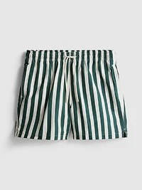 Deck Chair Stripe Swim Shorts