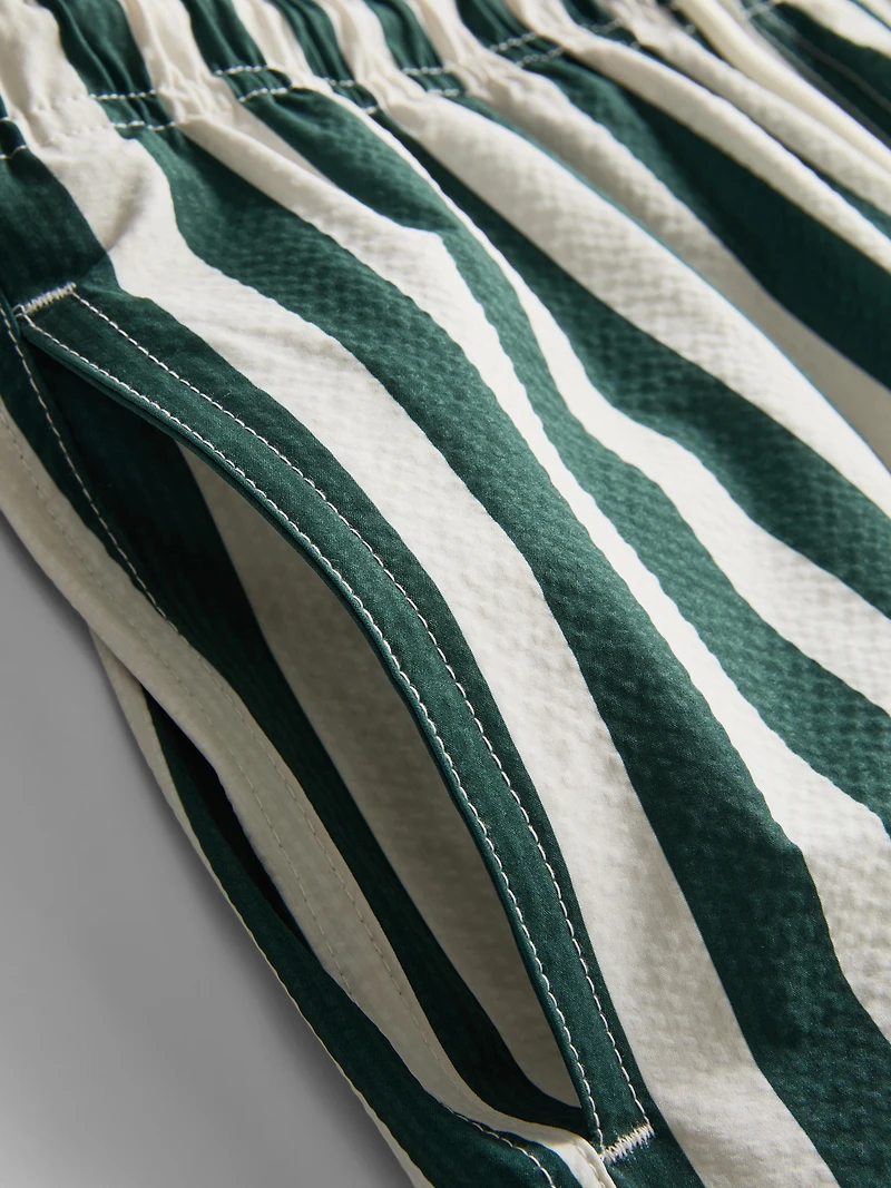 Deck Chair Stripe Swim Shorts