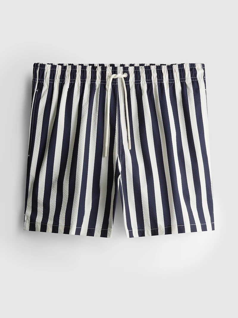 Deck Chair Stripe Swim Shorts