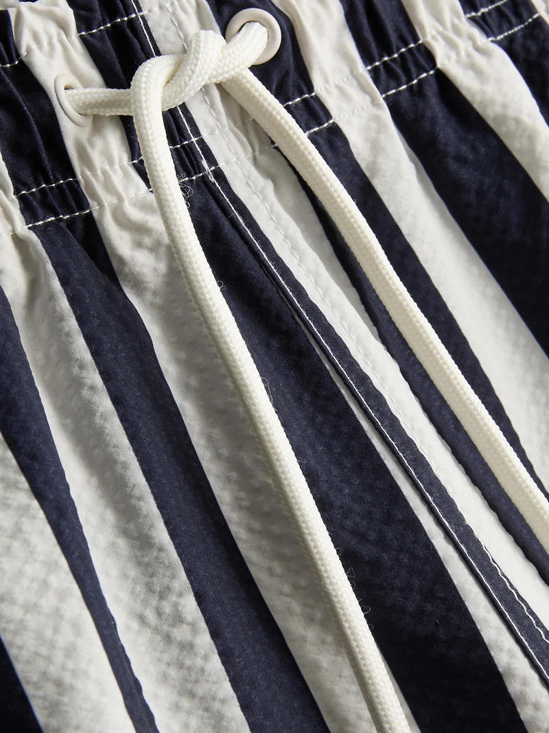 Deck Chair Stripe Swim Shorts