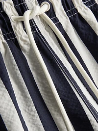 Deck Chair Stripe Swim Shorts